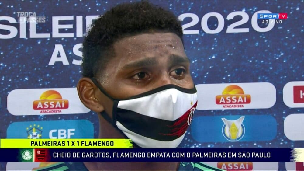 flamengo palmeiras hugo