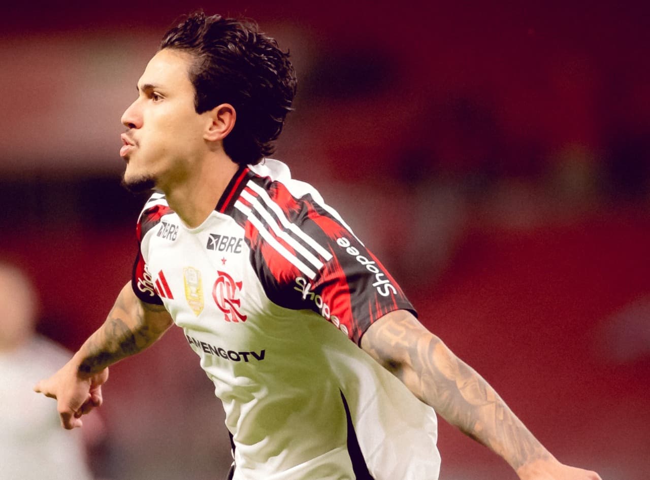 INTERNACIONAL X FLAMENGO - CAMPEONATO BRASILEIRO - ESTÁDIO BEIRA RIO - 17-08-2025