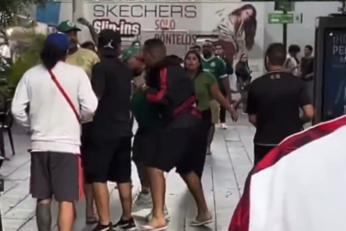 Confusão Flamengo Palmeiras Libertadores