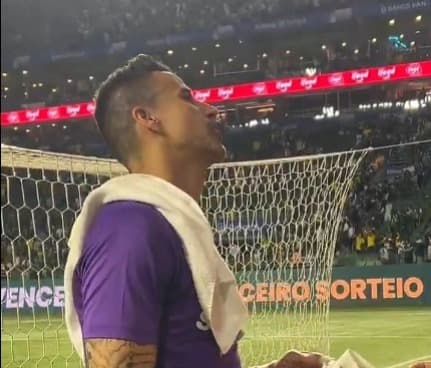 Fábio, goleiro do Fluminense, discute com torcedores do Palmeiras nas arquibancadas do Allianz Parque, durante Palmeiras x Fluminense, no Brasileirão