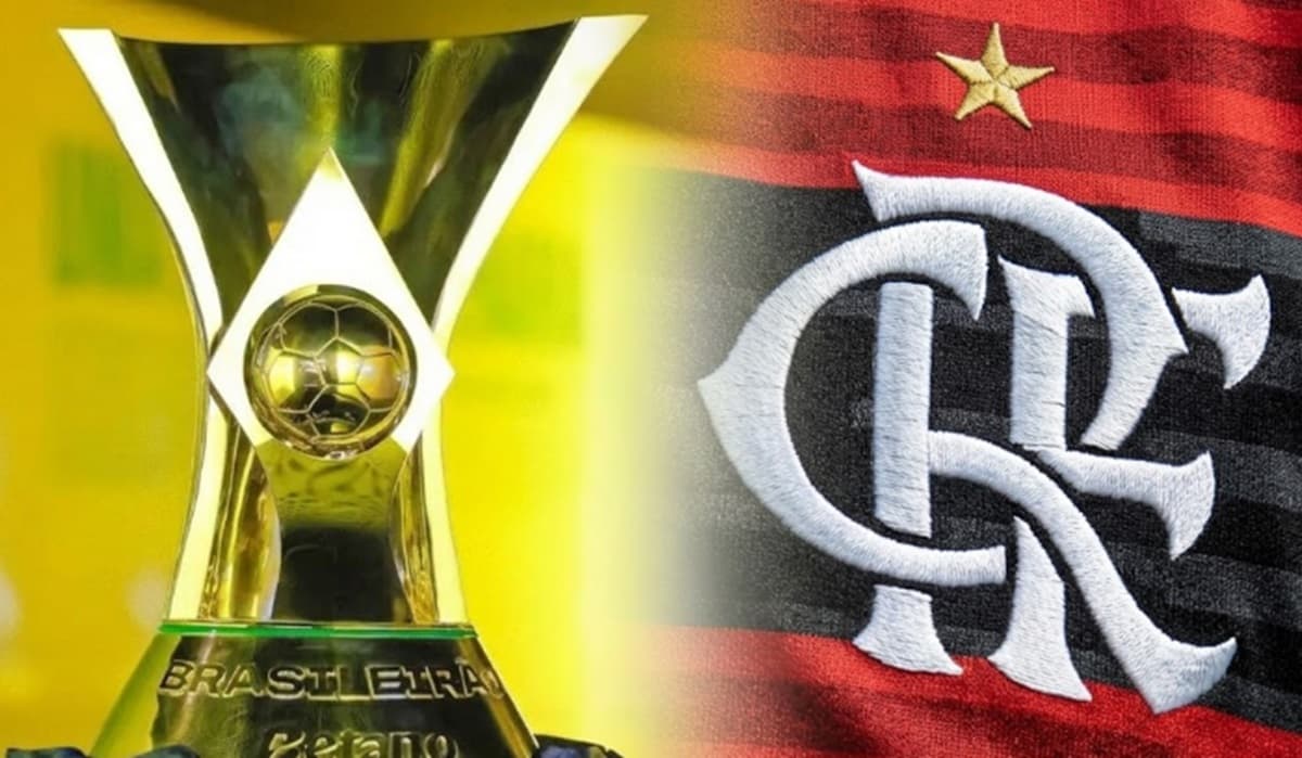 brasileirão flamengo