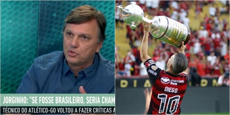 mauro cezar opina sobre aposentadoria de diego flamengo