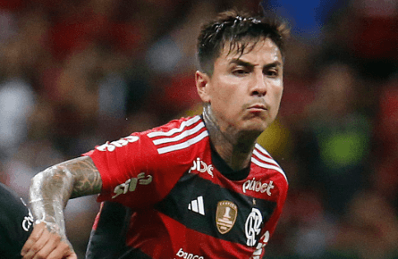 erick pulgar em flamengo e botafogo