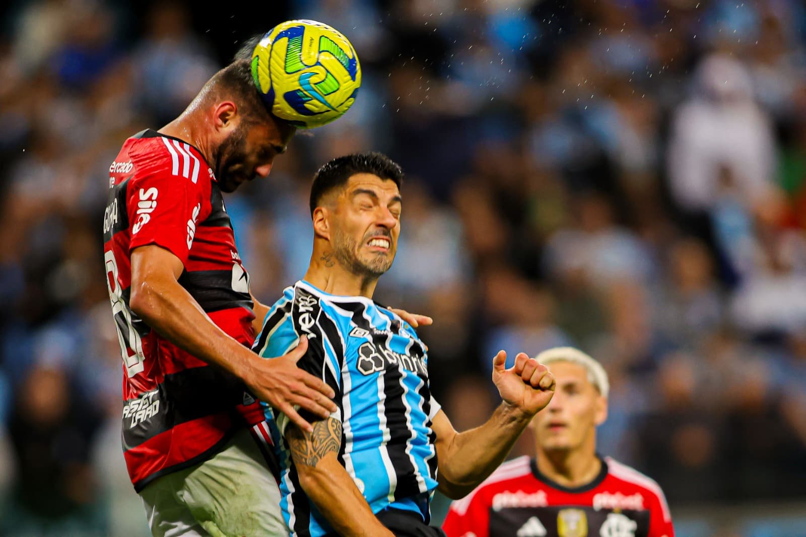 Onde vai passar o jogo do Flamengo hoje contra o Grêmio pelo Campeonato Brasileiro