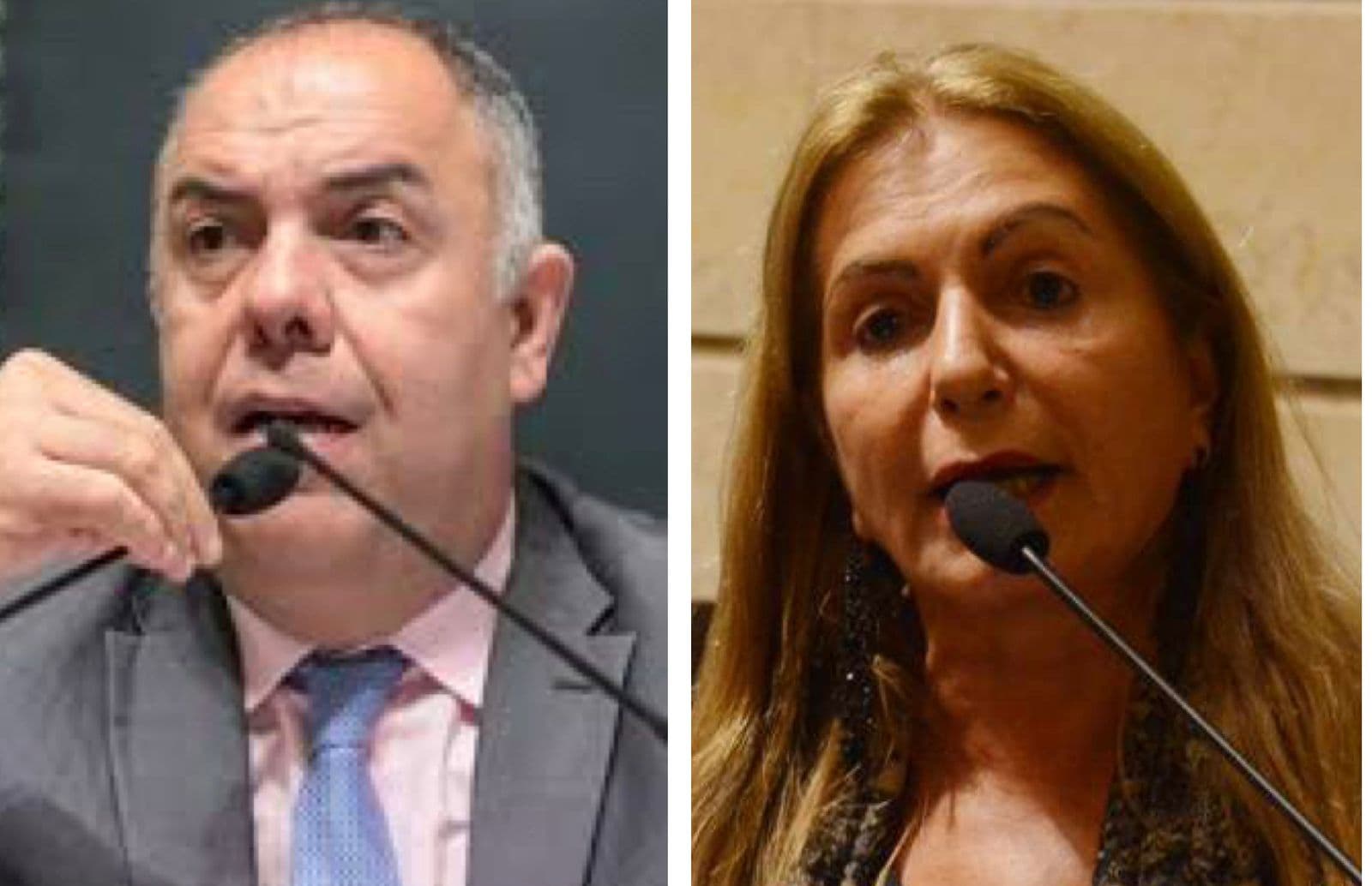 Rosa Fernandes, presidente do Conselho de Ética que aceitou versão de Braz sobre agressão, é nomeada para comissão sobre estádio do Flamengo