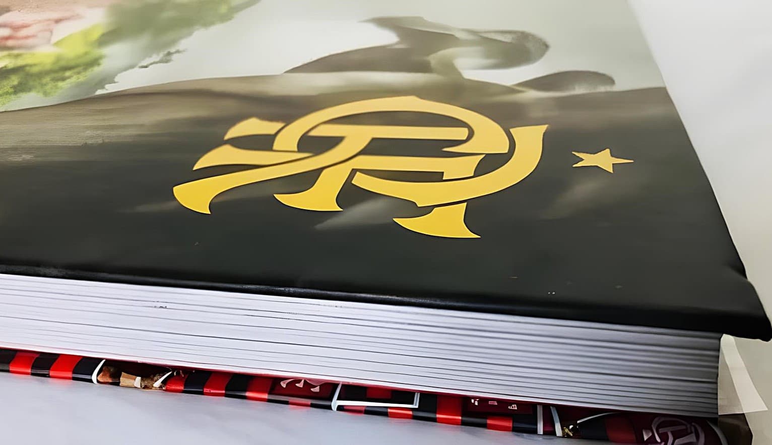 Escudo dourado do Flamengo na capa de um livro, atrás um urubu.